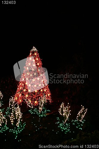 Image of Christmas Garden