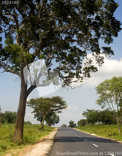 Image of Country road in Sri Lankan