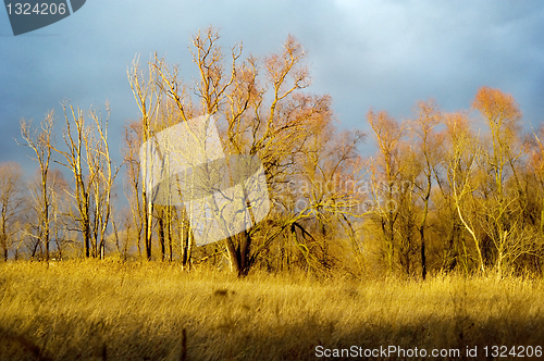 Image of Autumn  sunset