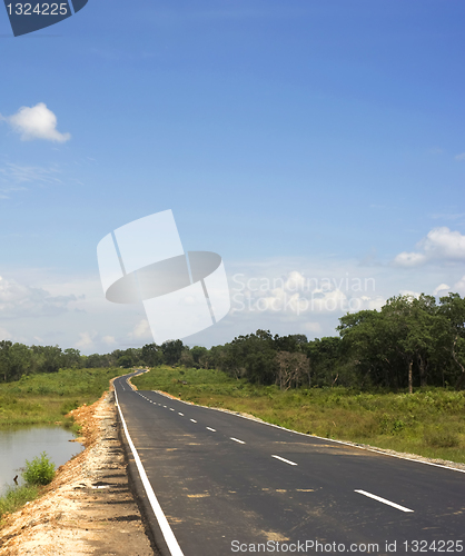 Image of Country road in Sri Lanka