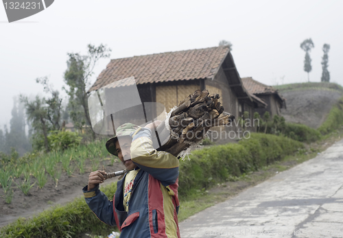 Image of Indonesian Man