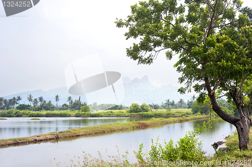 Image of Tropical landscape 