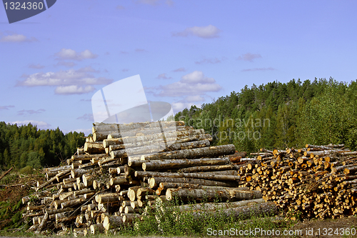 Image of Two piles of logs rural landscape