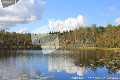 Image of Calm Forest Lake in Finland