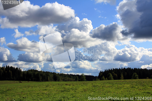 Image of Clouds over green grass meadows