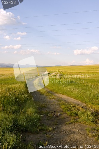 Image of Path in the Field