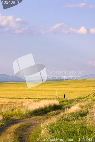 Image of Path Leading to a Field in Montana