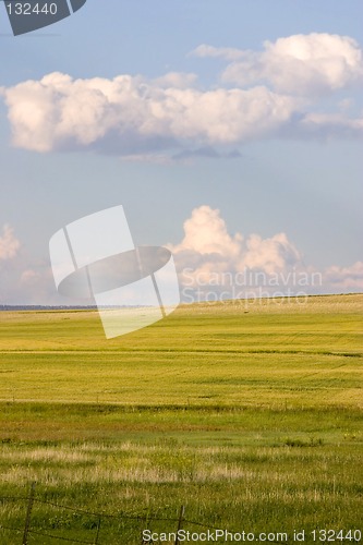 Image of Field in the Country