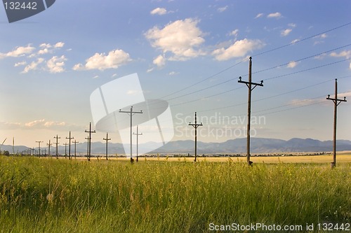 Image of Electric Posts in a Field - Helena