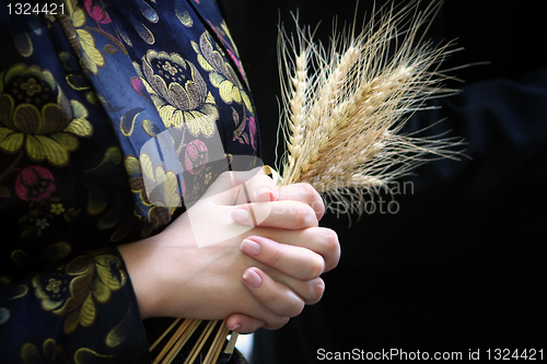 Image of Hands and wheat