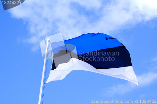 Image of Flag of Estonia waves in sky