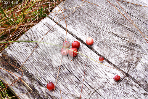 Image of Few red cranberries on whethered wood bench