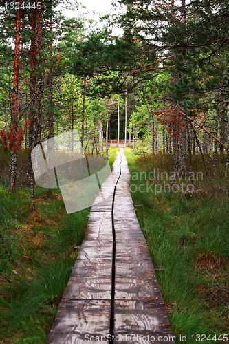 Image of Track from wooden planks lead through forest