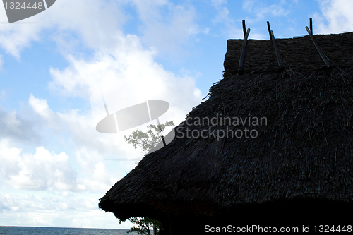 Image of House whose roof were maded from reed