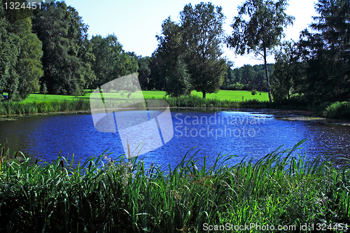 Image of Lake at sunny summer day and trees