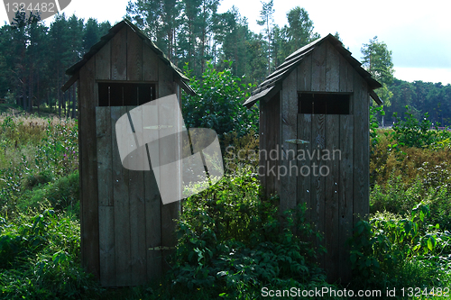 Image of Wheathered wooden toilets standing in green swamp