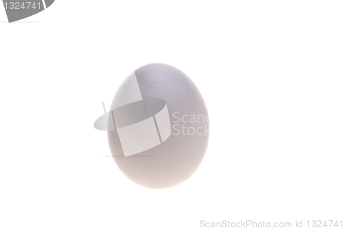 Image of White egg