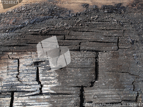 Image of Burned wood