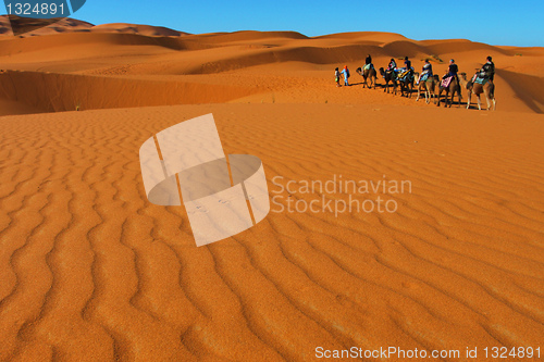 Image of Sahara desert