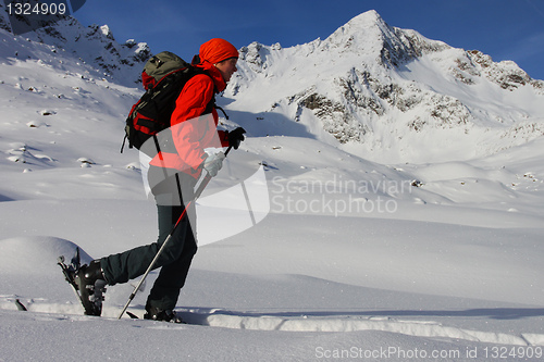 Image of Ski touring