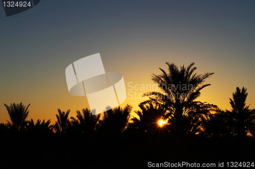 Image of Sunrise in paradise