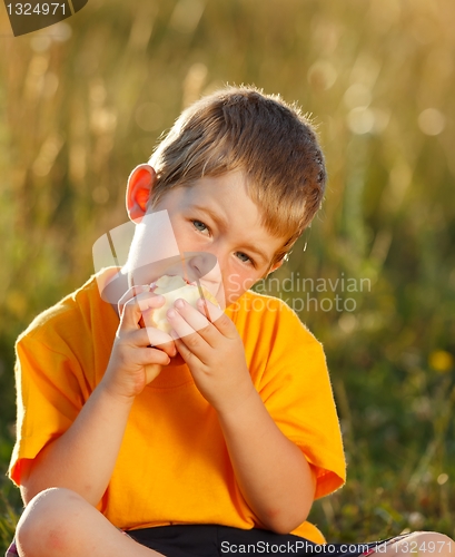 Image of Boy eating apple