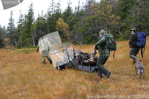 Image of Moose hunt - Norway - Transport