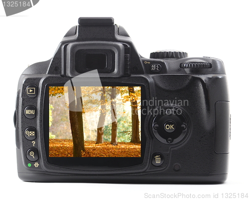 Image of landscape on cam display