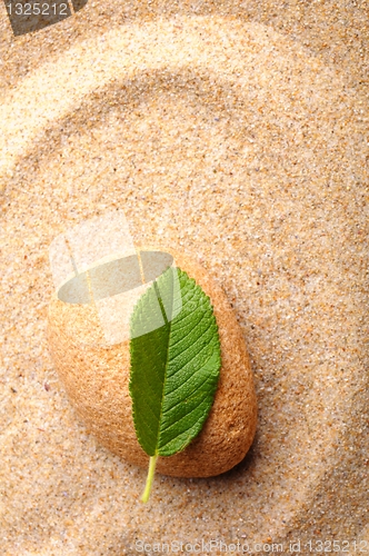 Image of zen or spa