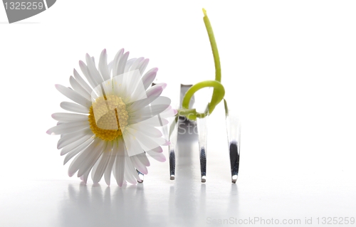 Image of flower and fork