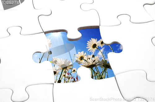 Image of puzzle and flower