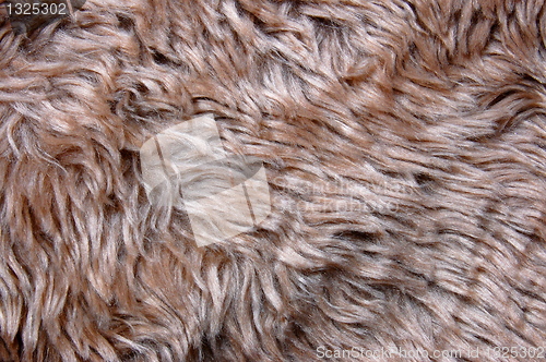 Image of pelt texture