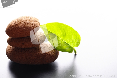 Image of massage still life