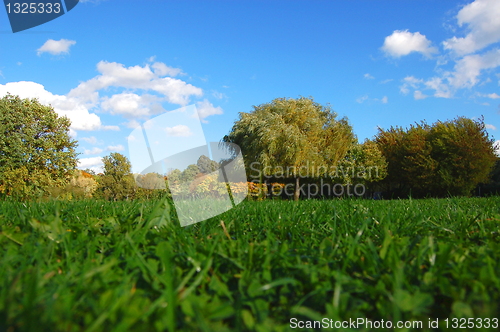 Image of forest and garden under blue sky at fall