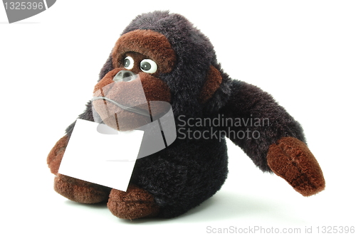 Image of isolated teddy with blank sheet