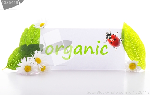 Image of organic