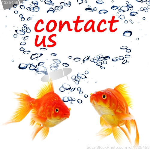 Image of contact us