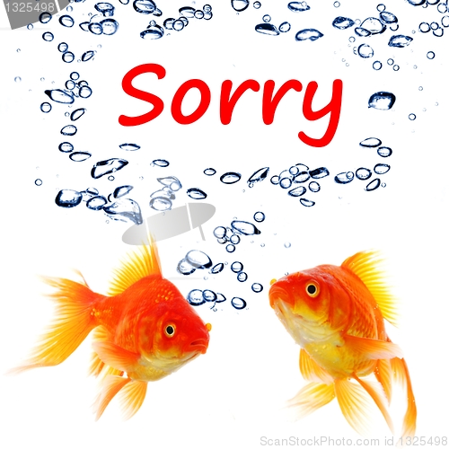 Image of sorry