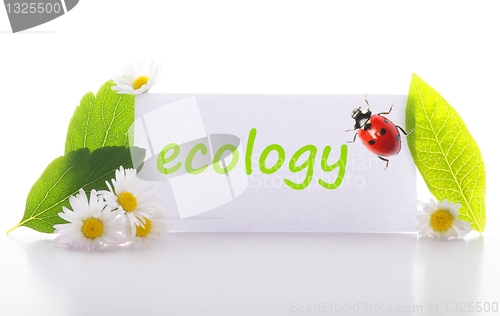 Image of ecology