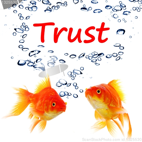 Image of trust