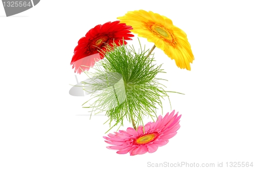 Image of flower