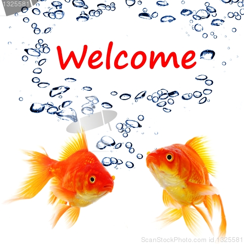 Image of welcome