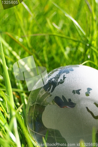 Image of glass globe or earth in grass