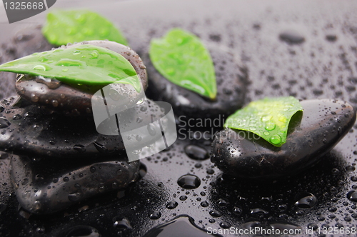 Image of wellness concept with zen stone