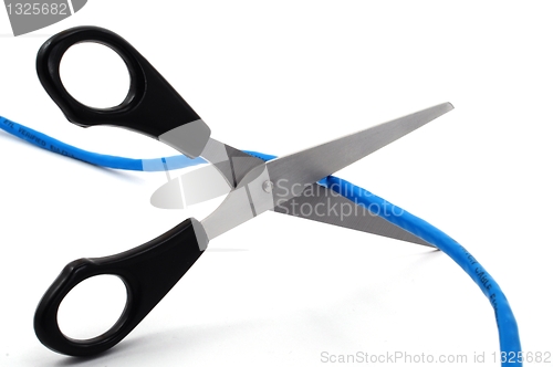 Image of network cable and scissors