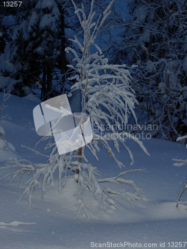 Image of winter