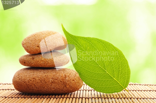 Image of zen stone with leaf