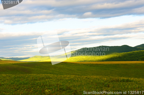 Image of Grassland landscape