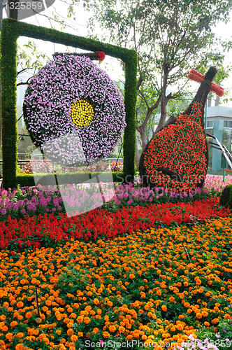 Image of Flower musical instruments