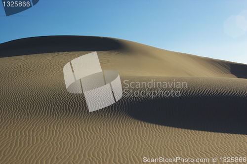 Image of Desert detail